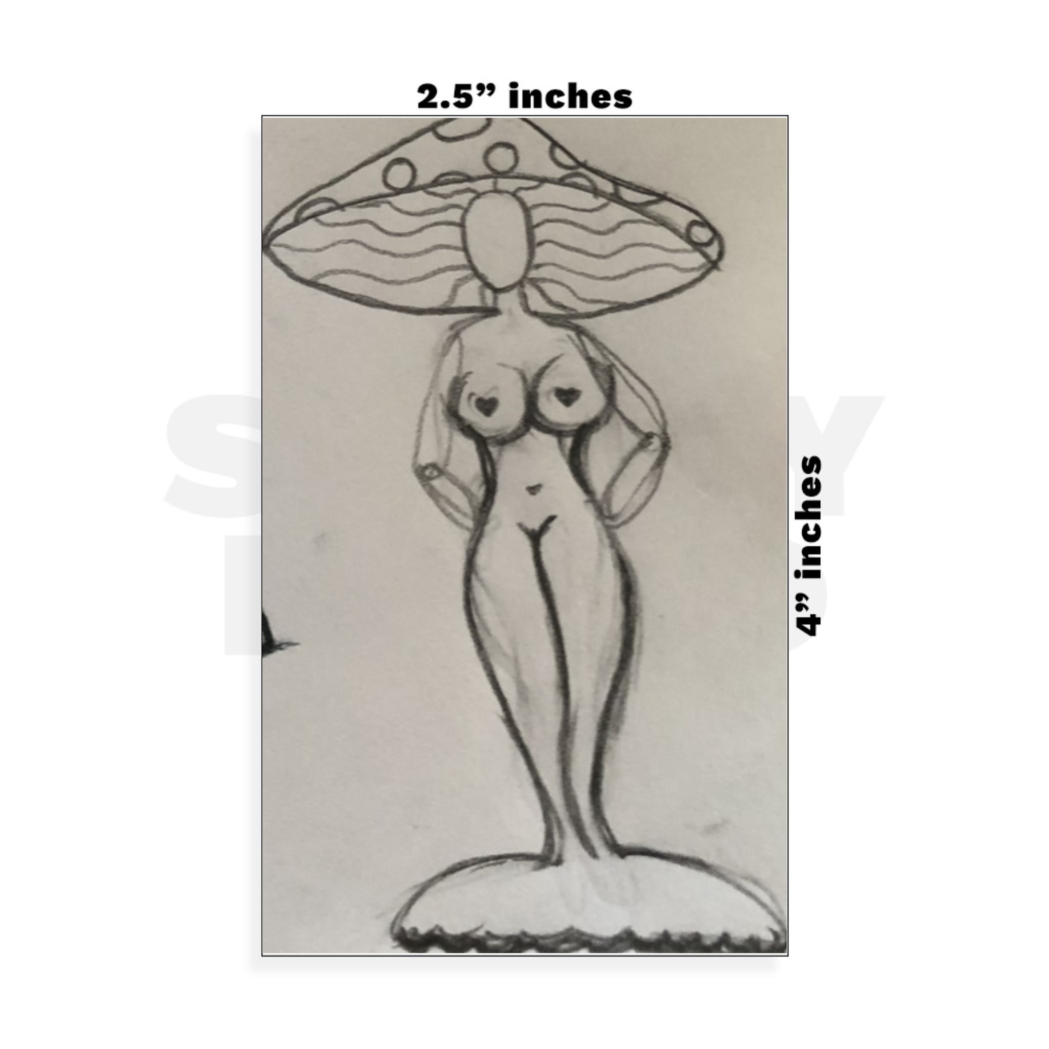 Custom Small - 2.5in x 4in