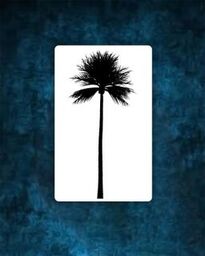 Palm Tree Tattoo