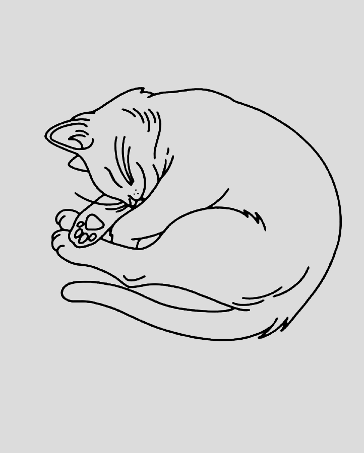 #1 Cat Position - Semi Permanent