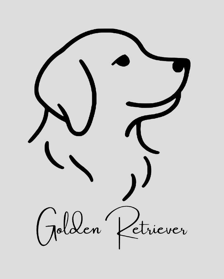 Golden Retriever - Semi Permanent