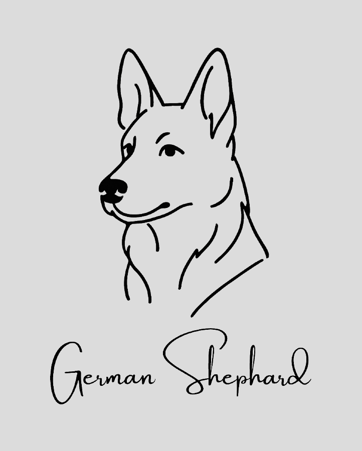 German Shephard - Semi Permanent