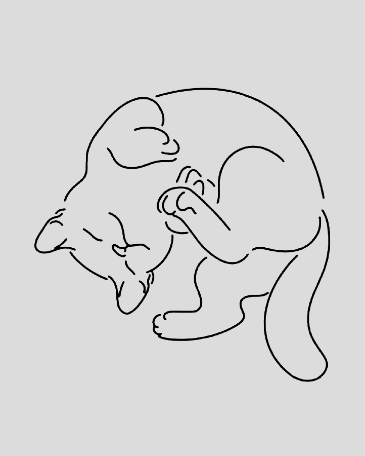 #6 Cat Position - Semi Permanent