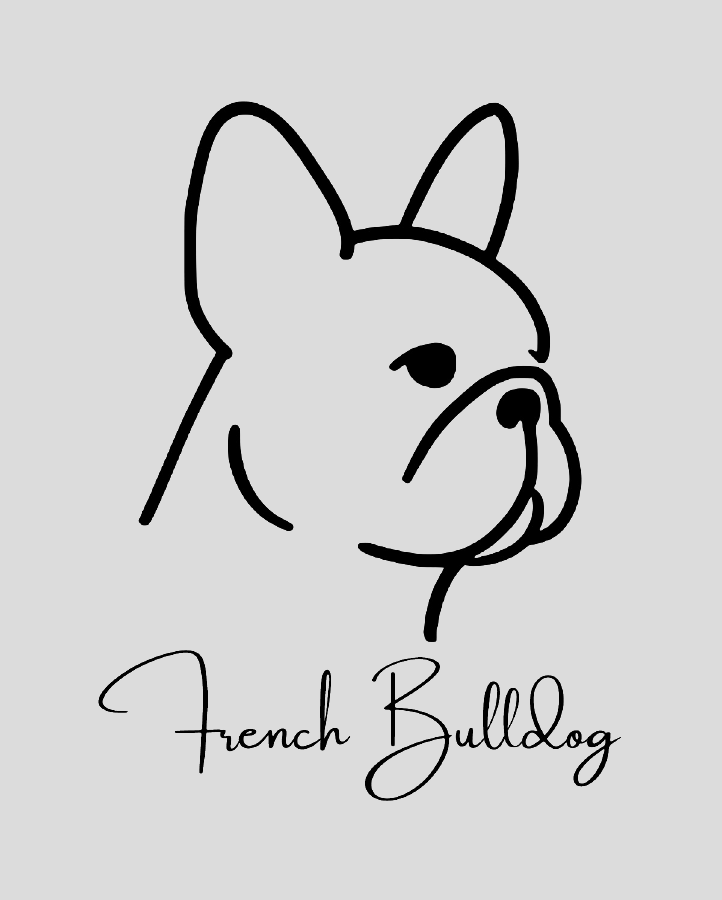 French Bulldog - Semi Permanent