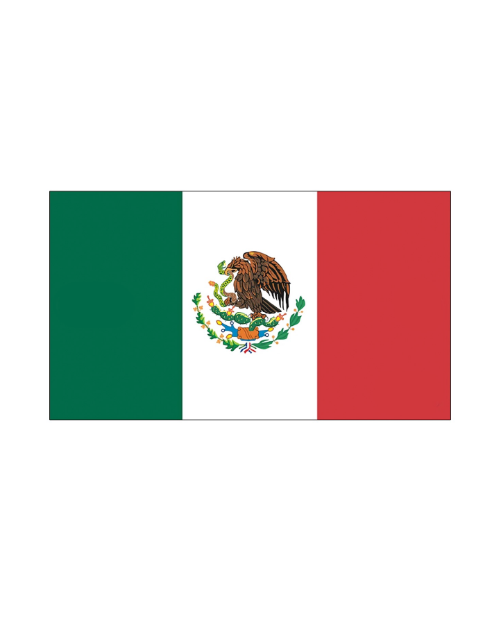 Mexico Flag Tattoo
