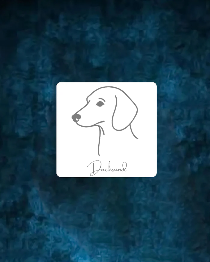 Dachsund - Semi Permanent