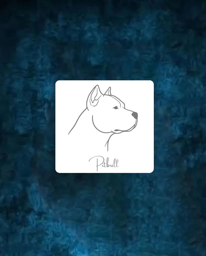 Pitbull - Semi Permanent