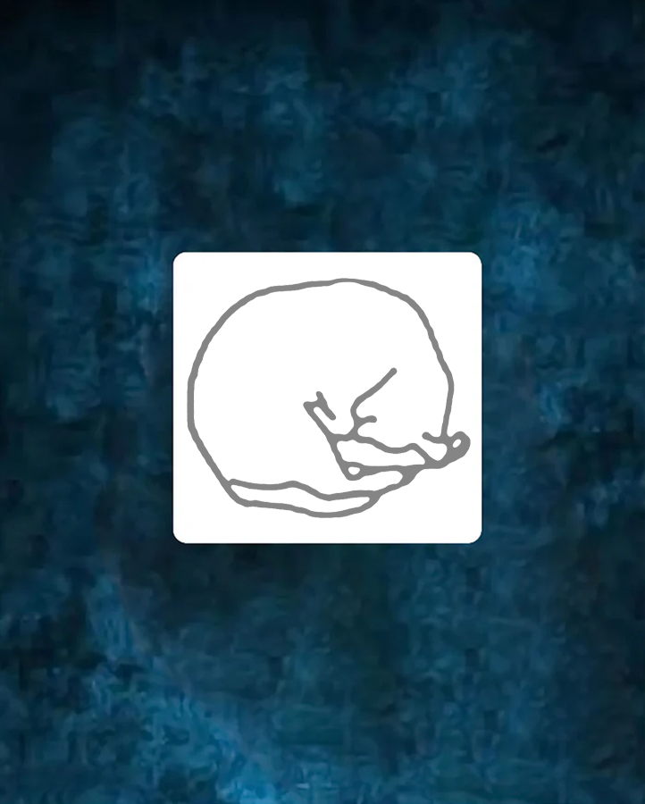 #2 Cat Position - Semi Permanent