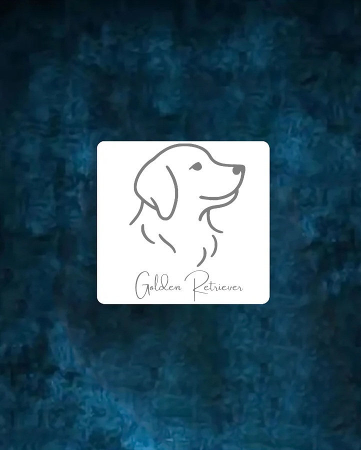 Golden Retriever - Semi Permanent