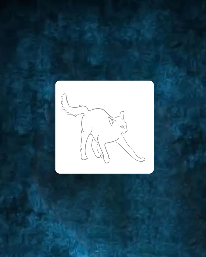 #3 Cat Position - Semi Permanent