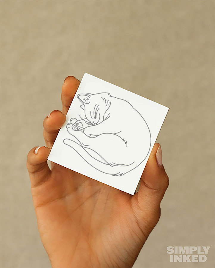 #1 Cat Position - Semi Permanent