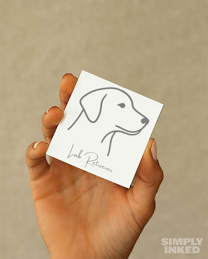 Lab Retriever - Semi Permanent