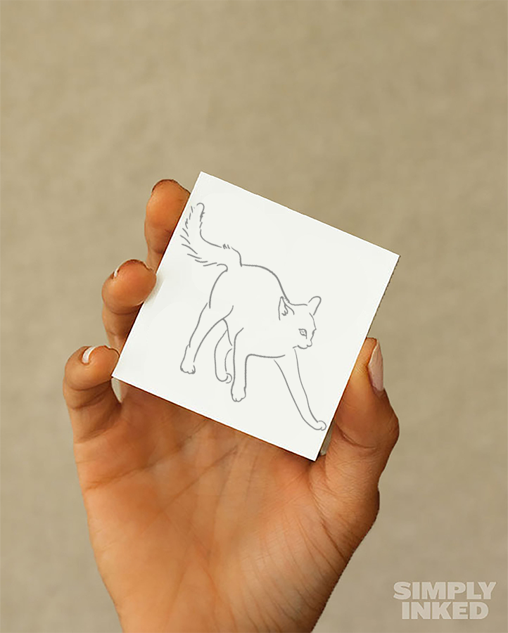 #3 Cat Position - Semi Permanent