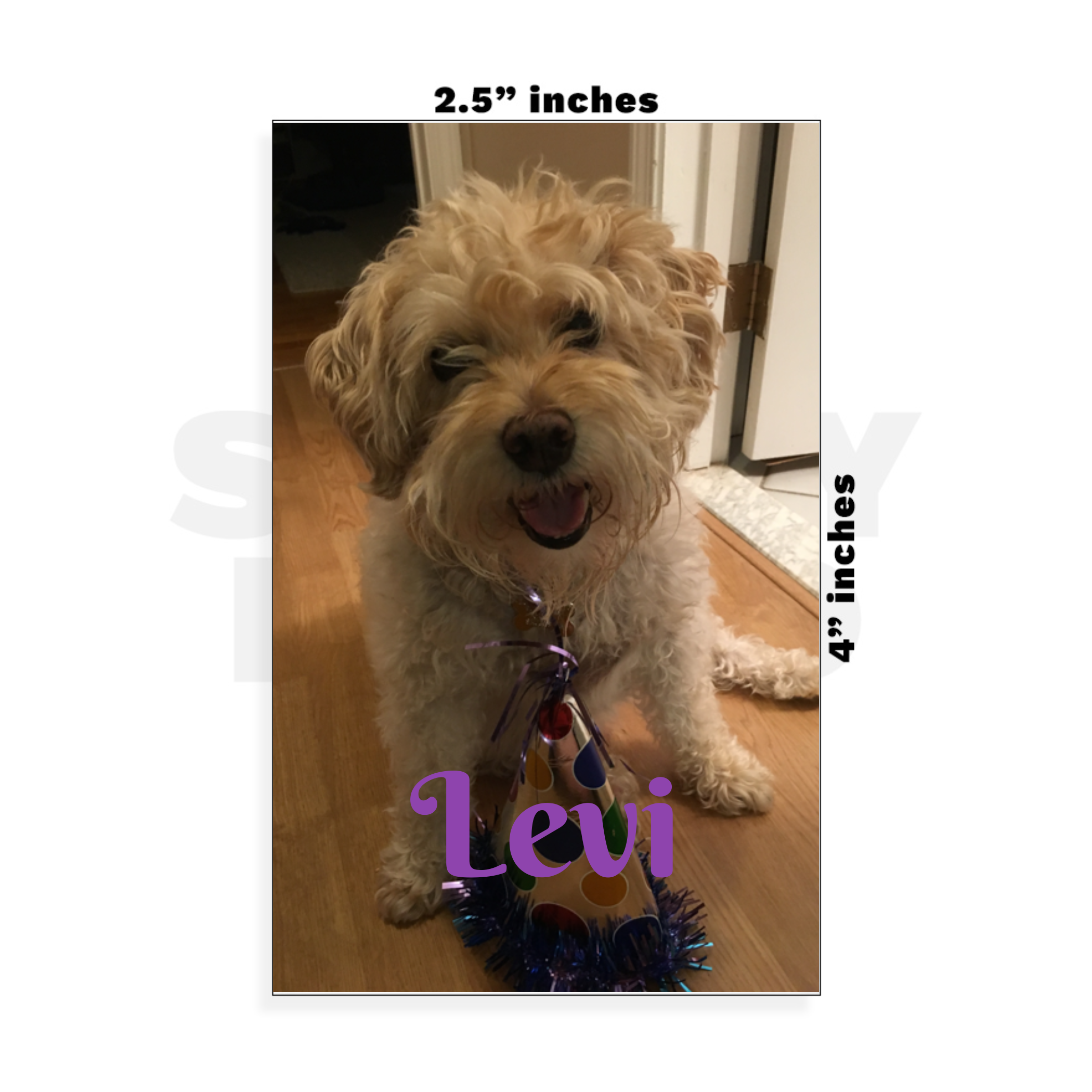 levi