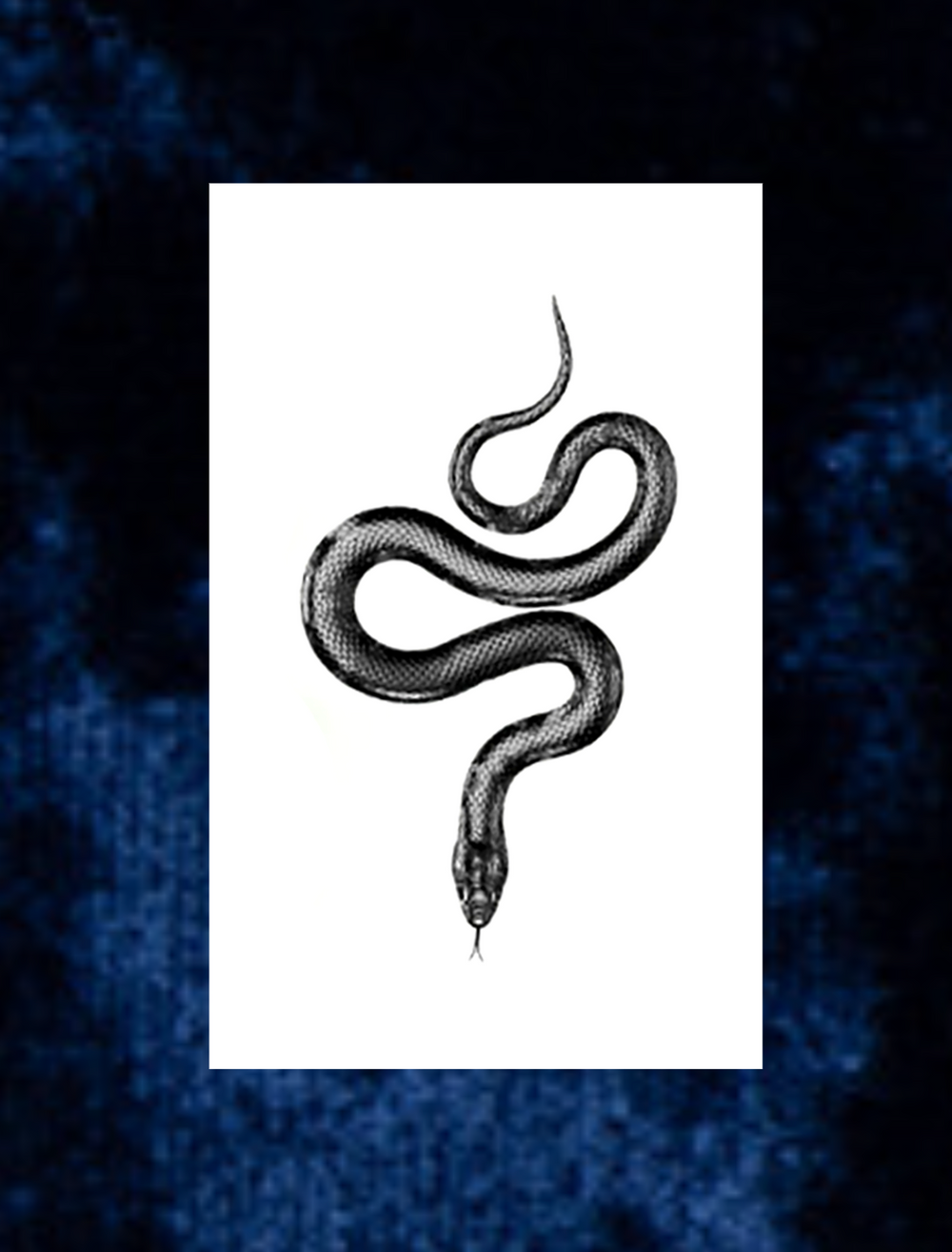 Snake Temporary Tattoo main image 0