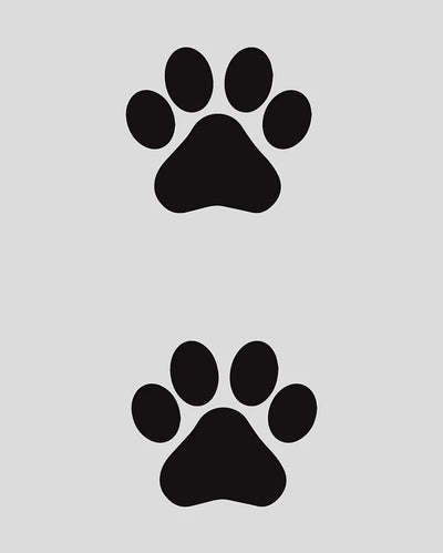Paw Prints Tattoo - Semi Permanent