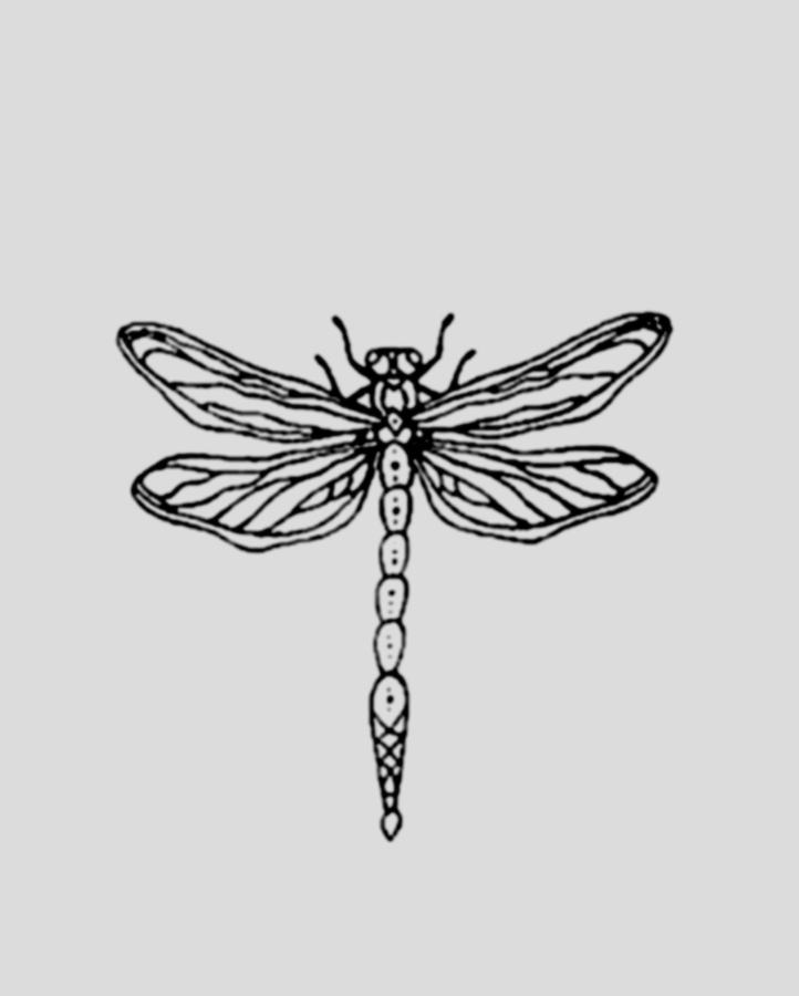 Dragonfly Tattoo - Semi Permanent