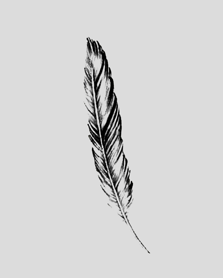 Feather Tattoo - Semi Permanent