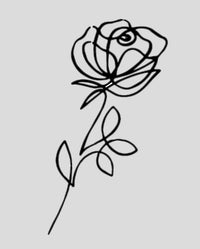 Linear Rose - Semi Permanent