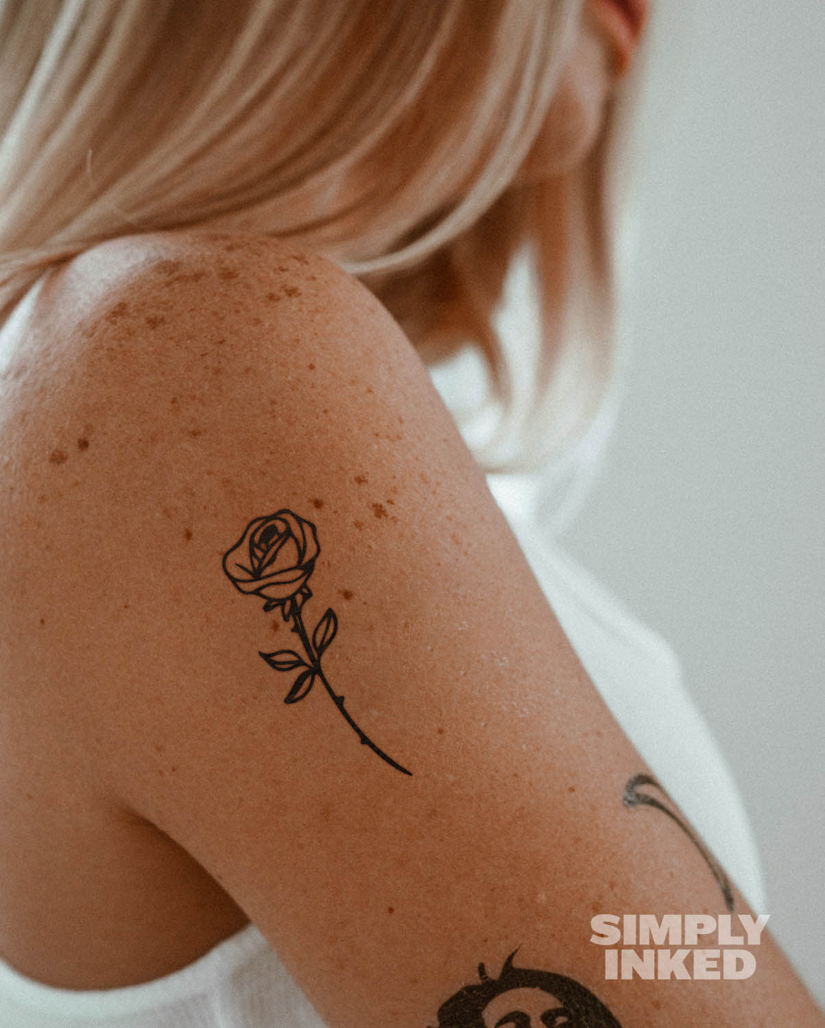 Rose Tattoo--1