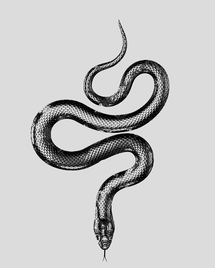 Snake Tattoo - Semi Permanent