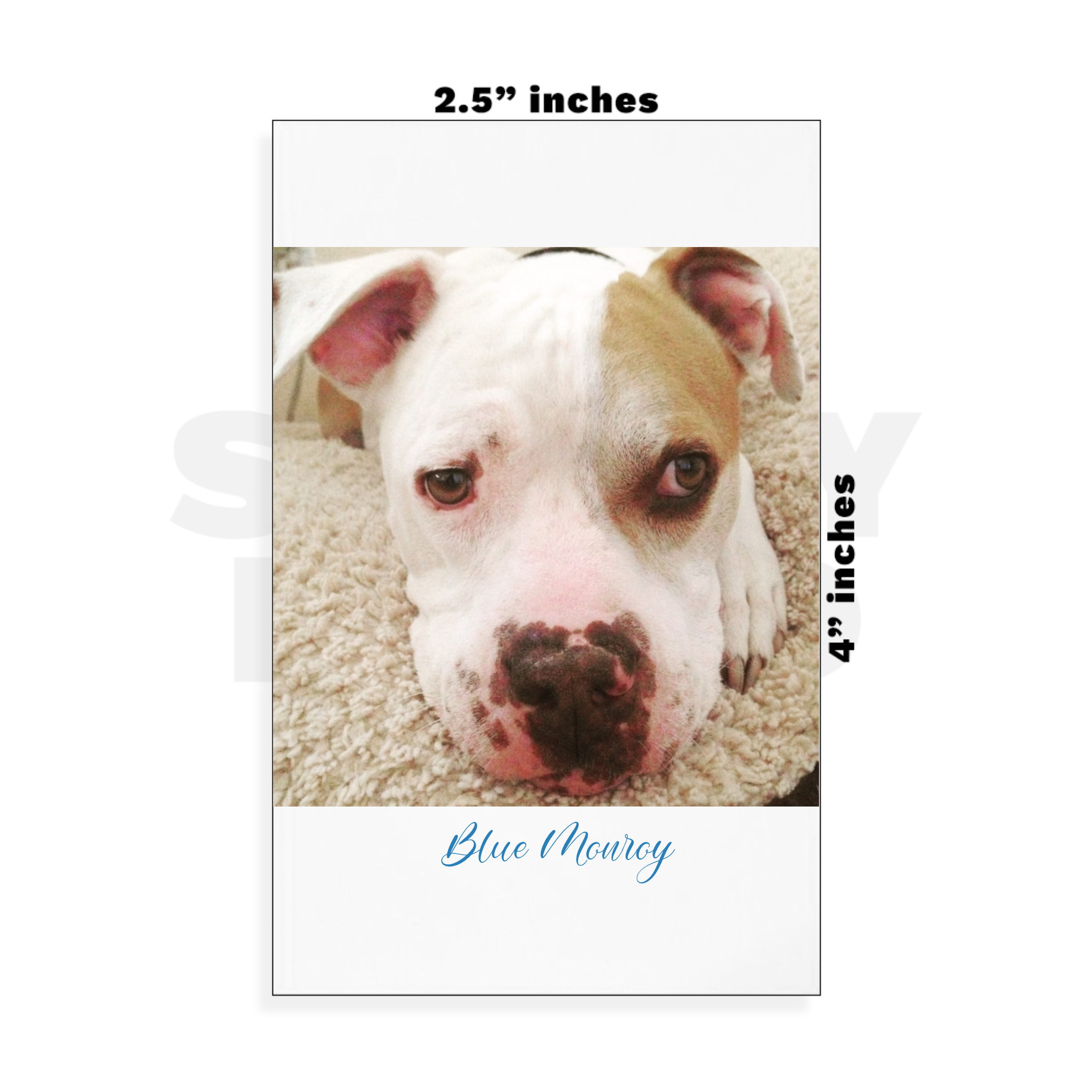 Custom Small - 2.5in x 4in