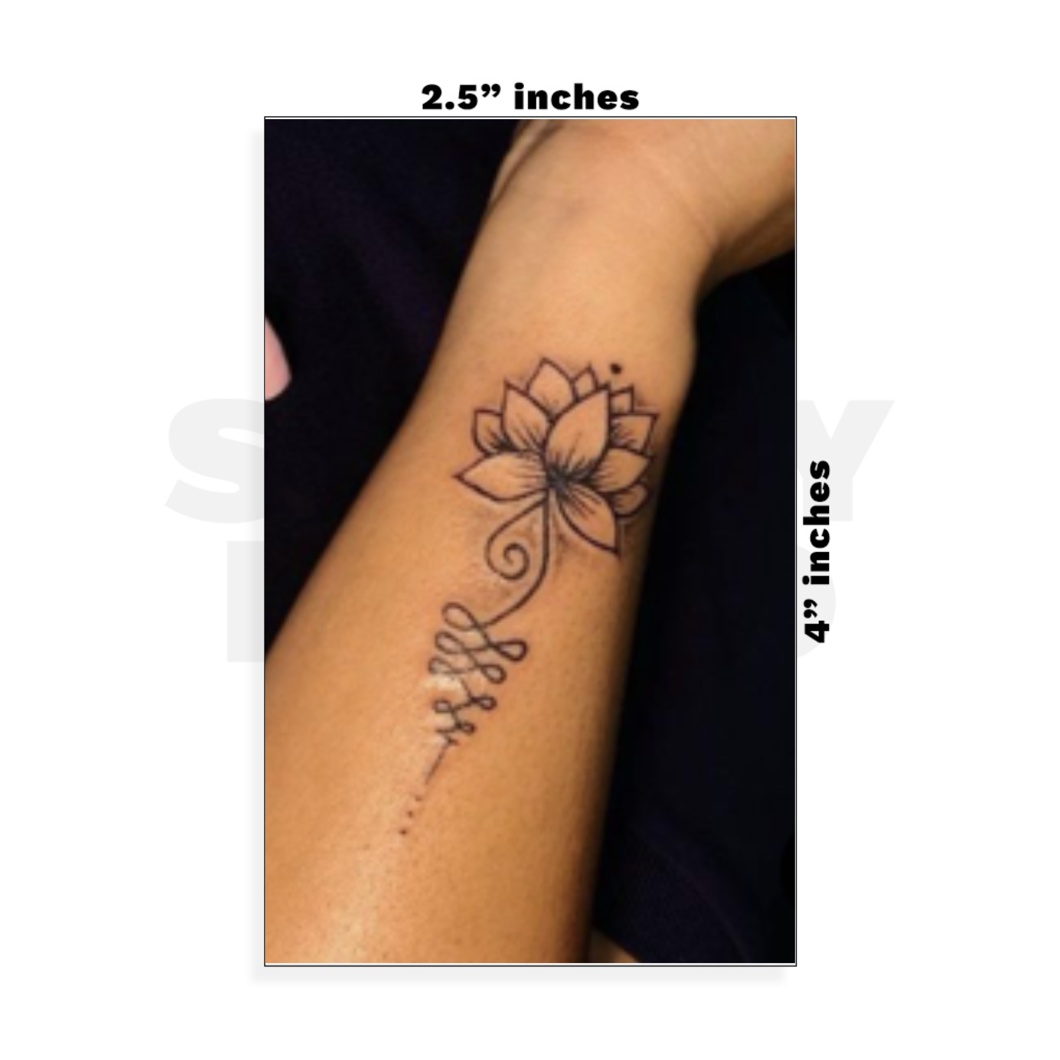 Custom Small - 2.5in x 4in