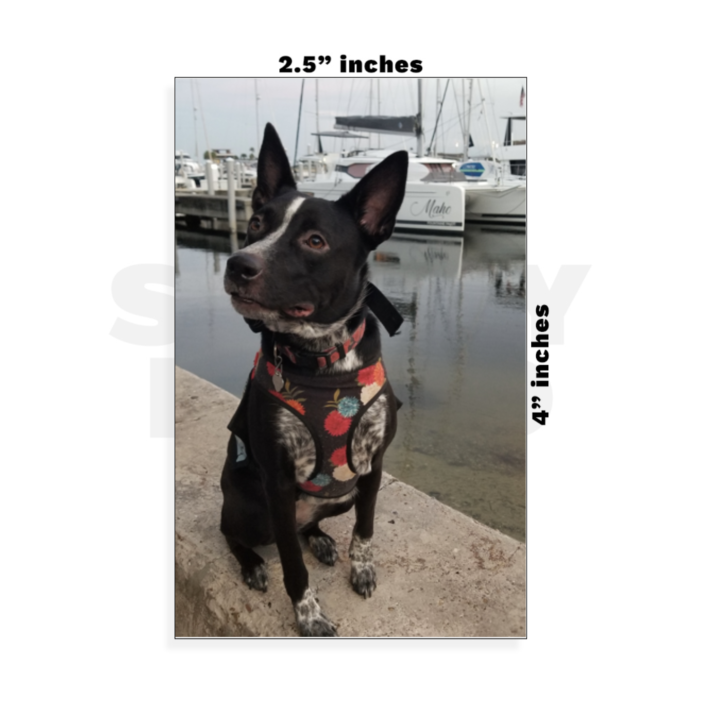 Custom Small - 2.5in x 4in