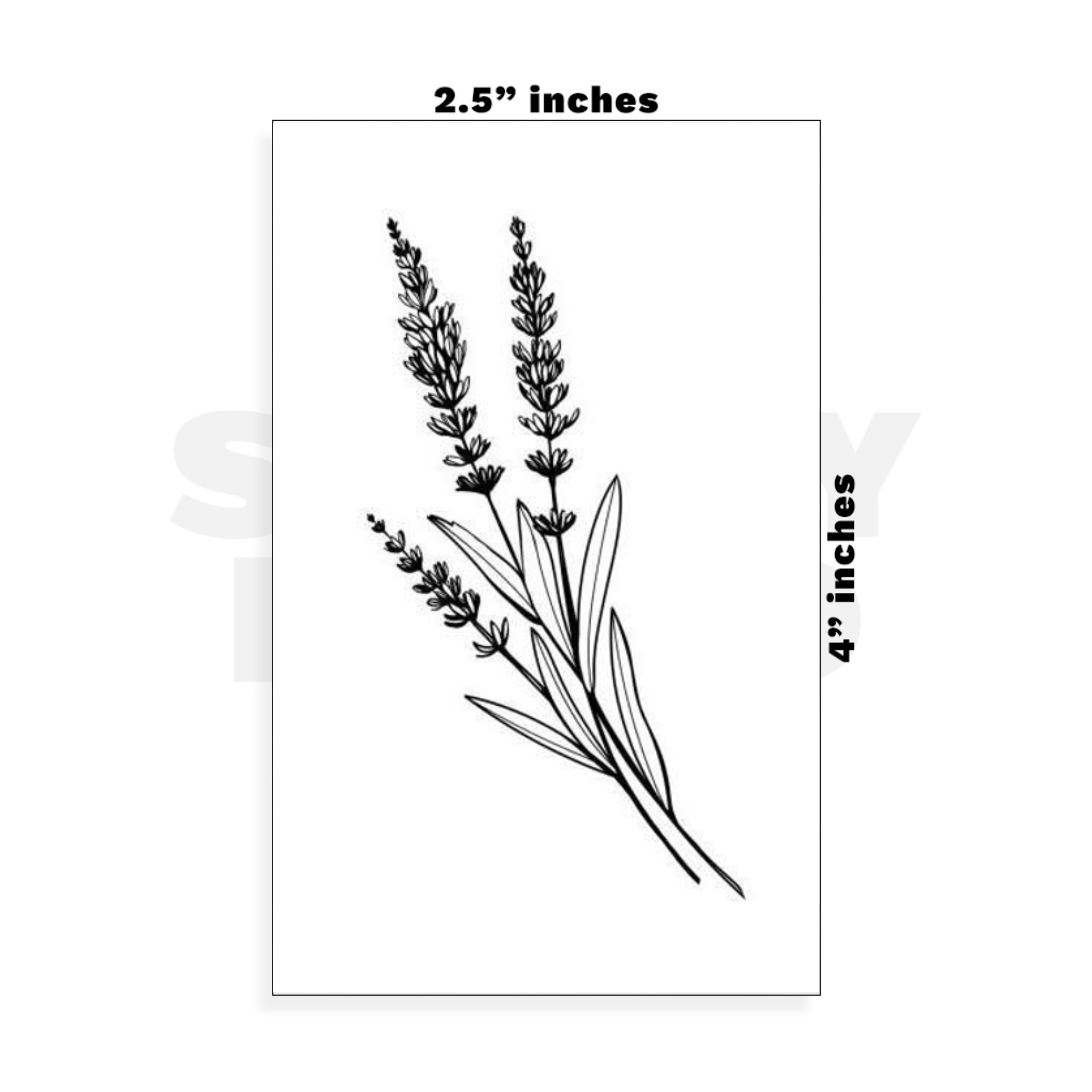 Custom Small - 2.5in x 4in