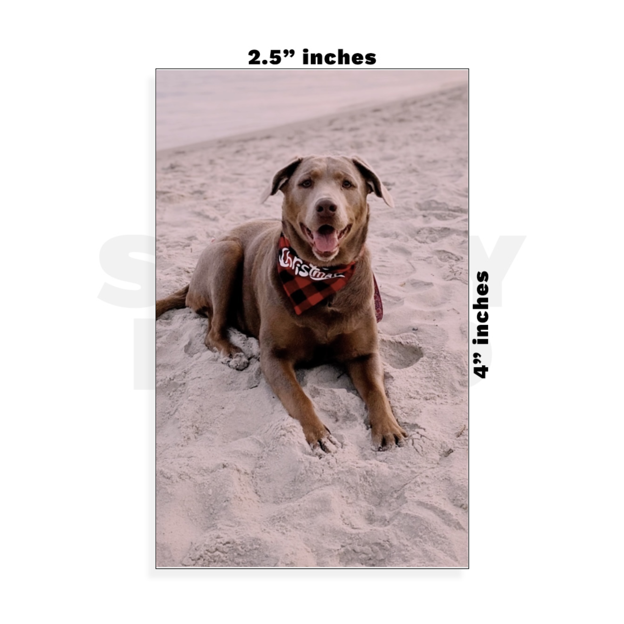 Custom Small - 2.5in x 4in