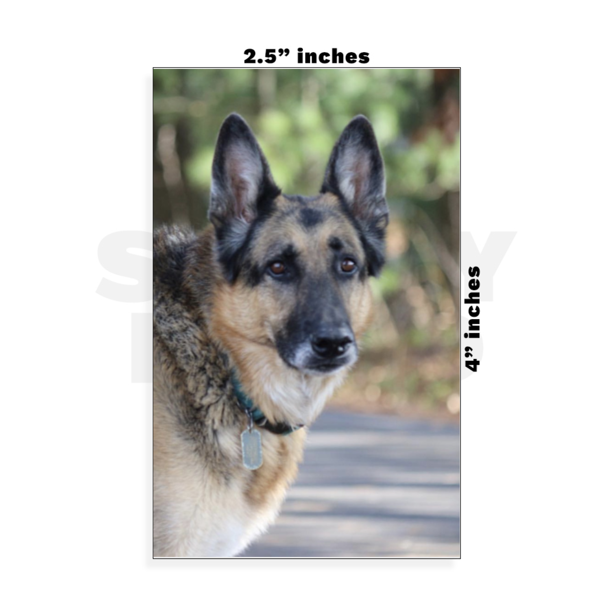 Custom Small - 2.5in x 4in