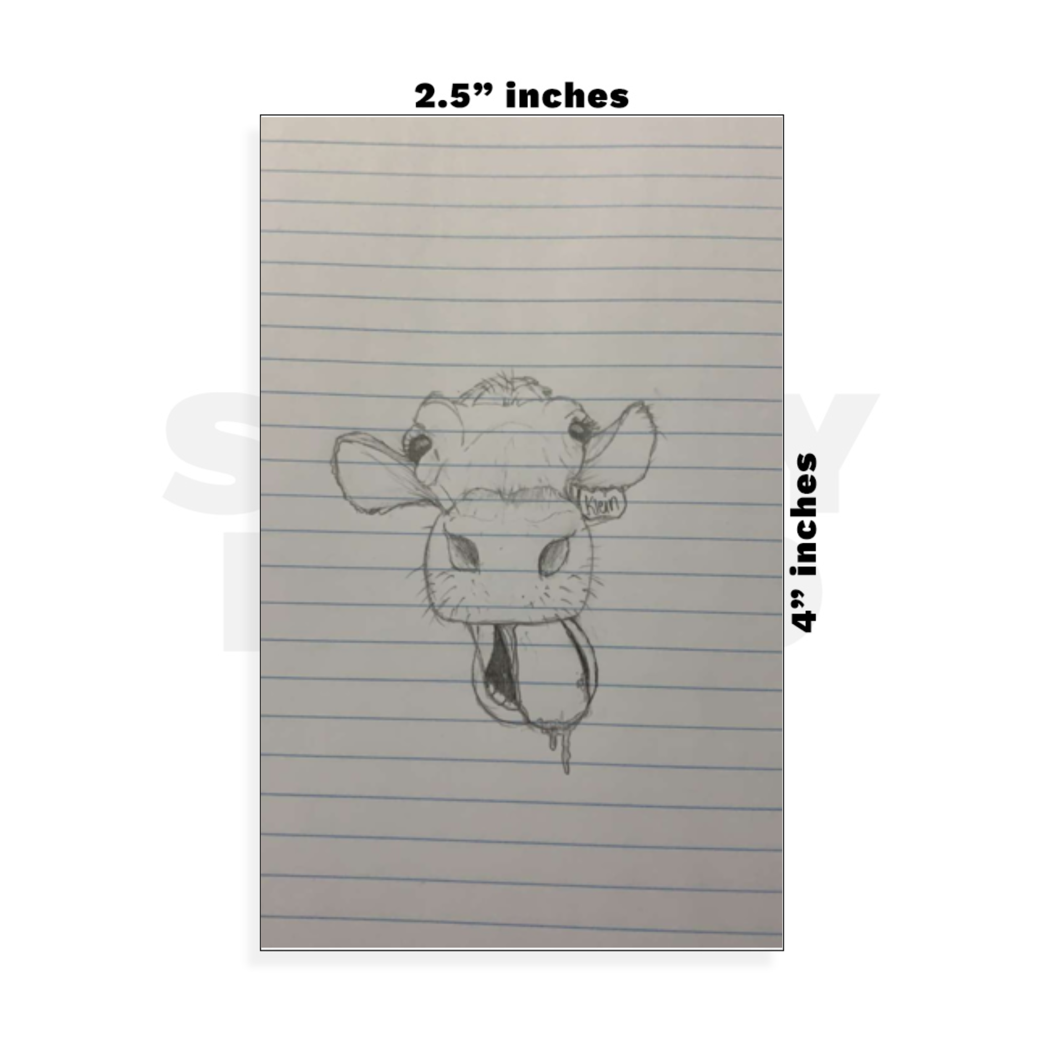 Custom Small - 2.5in x 4in