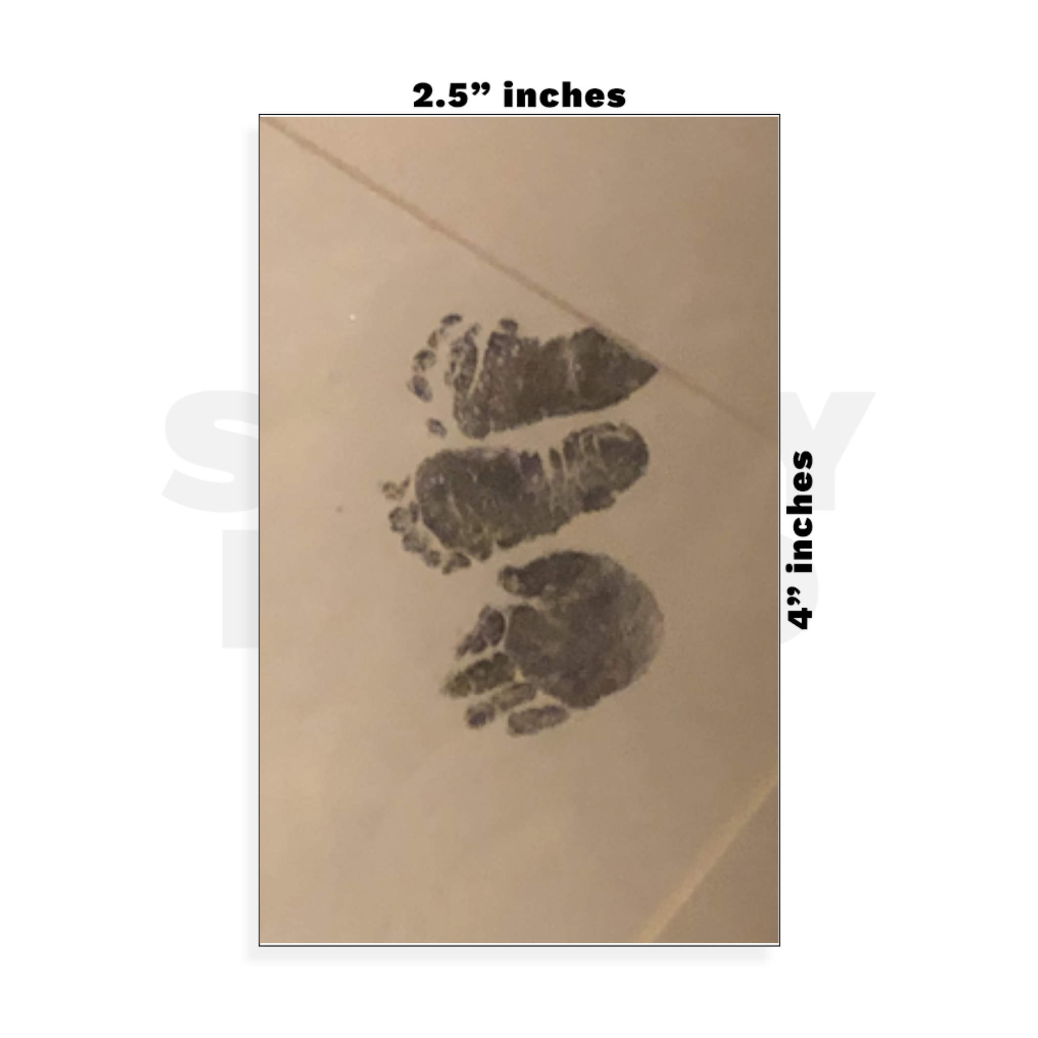 Custom Small - 2.5in x 4in