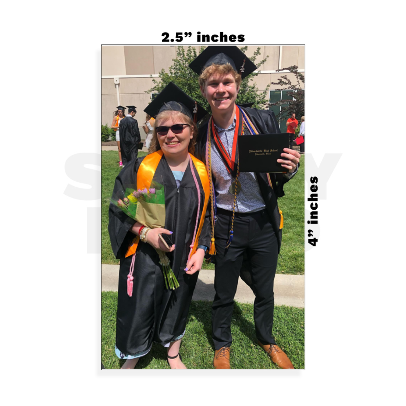 Custom Small - 2.5in x 4in