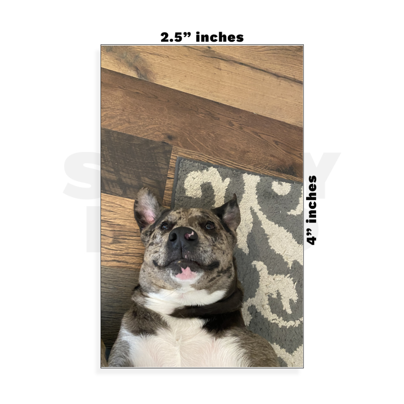 Custom Small - 2.5in x 4in