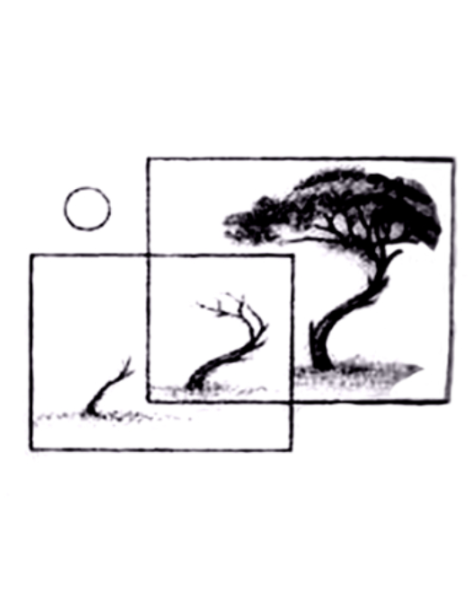 Tree Evolution Tattoo