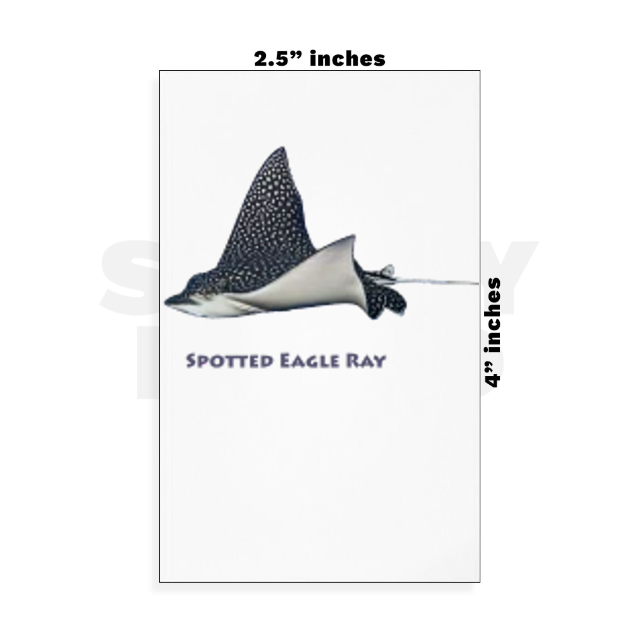 Custom Small - 2.5in x 4in