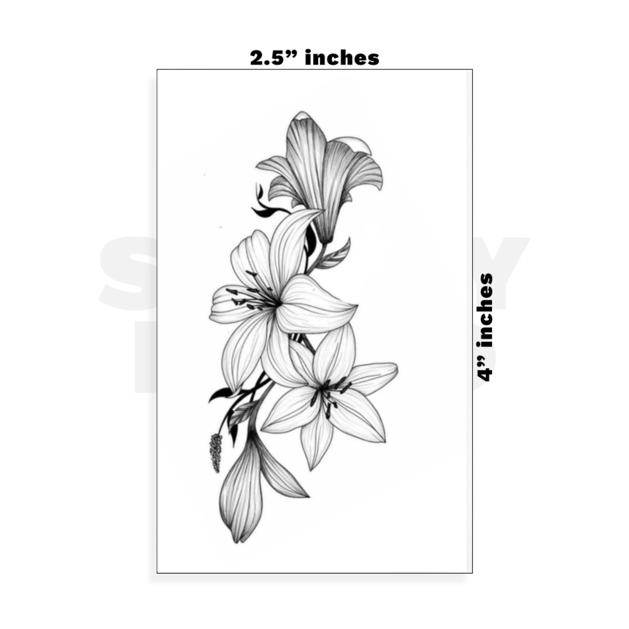 Custom Small - 2.5in x 4in