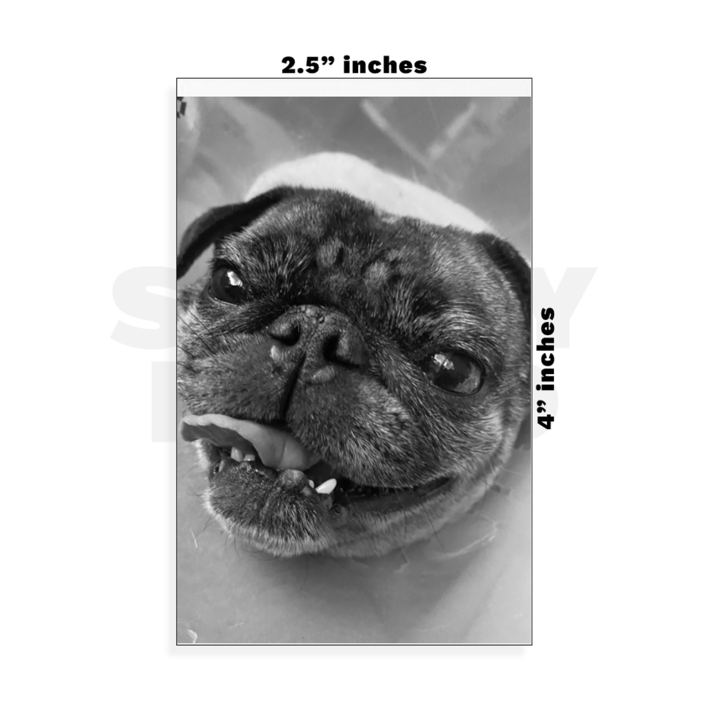 Custom Small - 2.5in x 4in