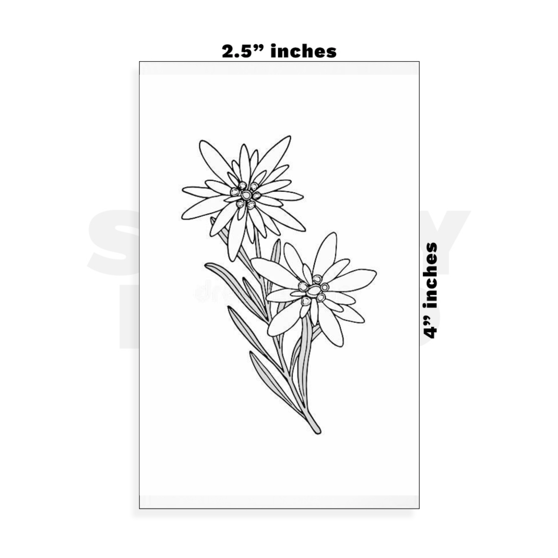 Custom Small - 2.5in x 4in